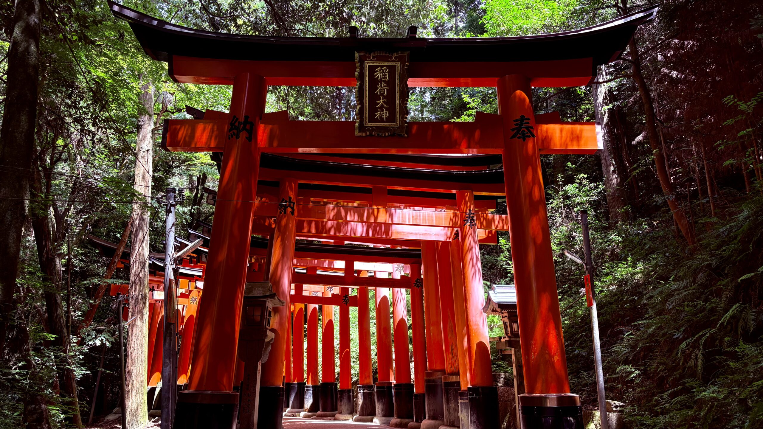 《在行与止的交界：记近畿中部漫行》